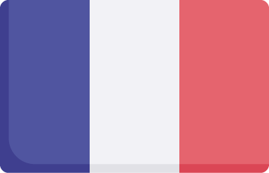 Icono bandera francesa